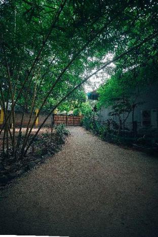 The Last Stop Backpackers Hostel,Pondicherry>>Auroville,3 star