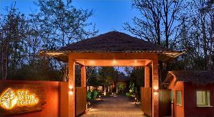 Saj In The Forest, Pench,India>>Kohka,5 star