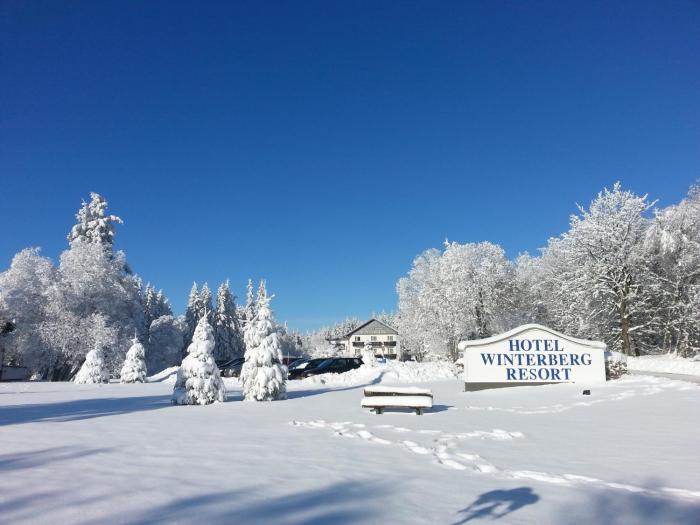 hotel winterberg resort