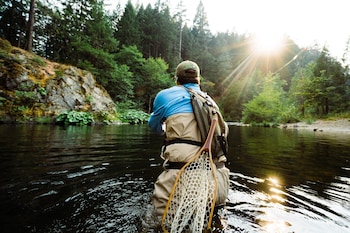 Holiday Inn Express Yreka-Shasta Area By Ihg,Yreka>>Dunsmuir,3 star