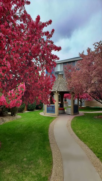 Best Western Plus Hudson I-94,In The City Center,3 star