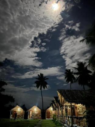 coconut tree guest house