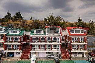 zostel homes shimla