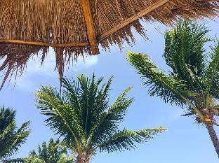 la terrace resort