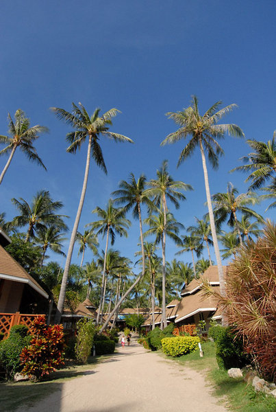 koh tao coral grand resort