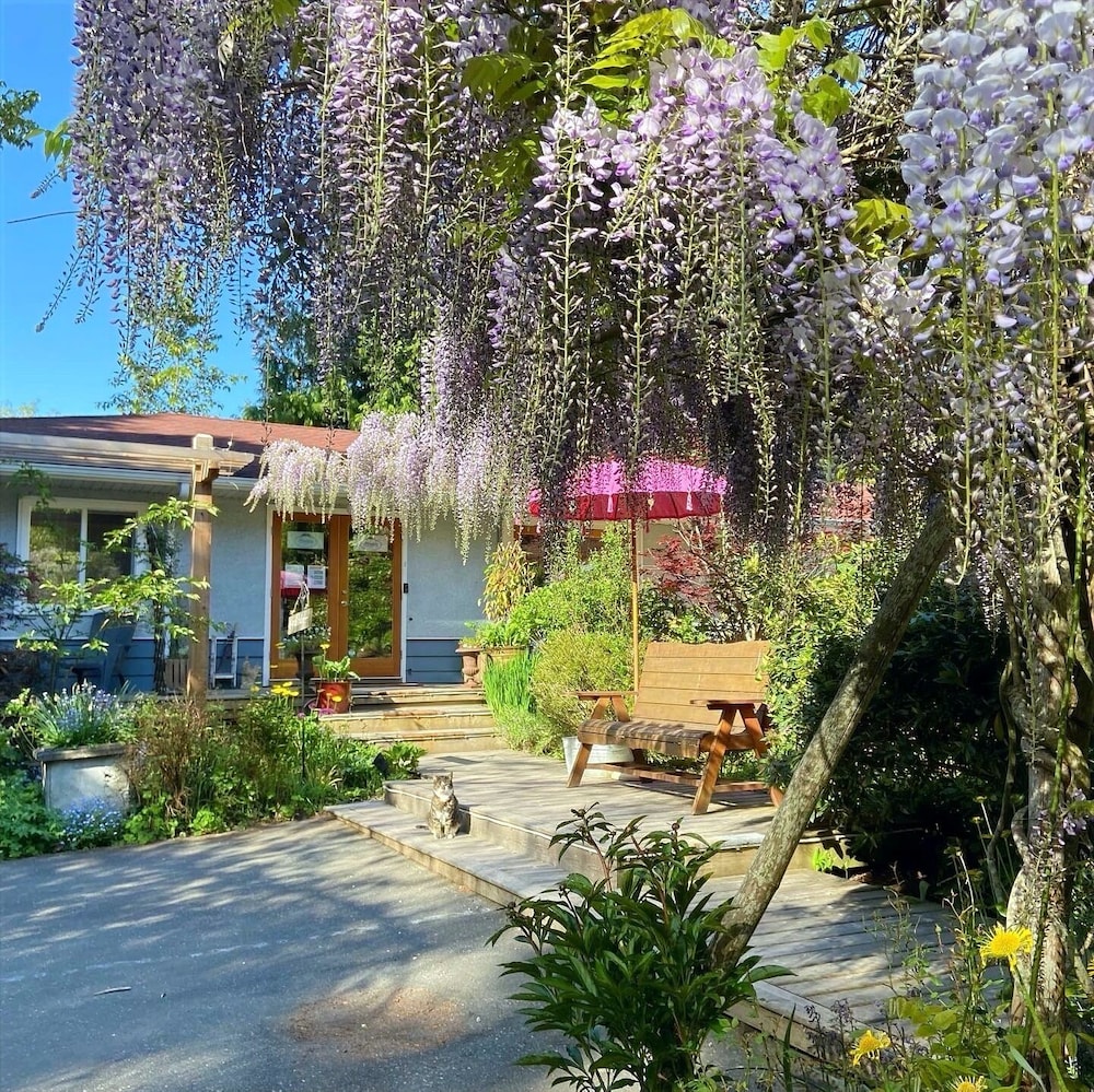 wisteria guest house