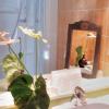 Auberge De L'ecole,Loir-Et-Cher>>Blois,2 star