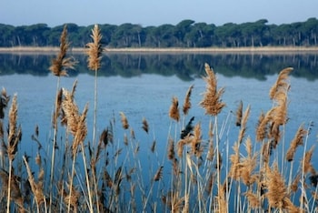 Hotel Diga,Emilia-Romagna>>Marina Di Ravenna,1 star