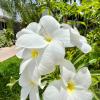 North Beach Hotel,Fort Lauderdale>>Central Beach,3 star