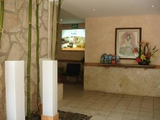 hotel and suites nader