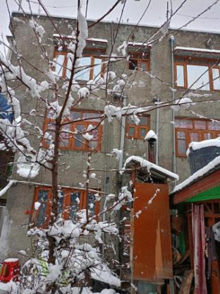 queen palace guest house