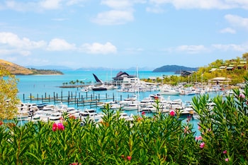 Hamilton Island Holiday Homes