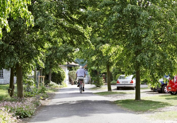 Bauerncafe & Pension Drostenhof