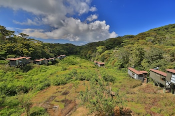 The Rainforest Ecolodge,Deniyaya>>Colombo,4 star