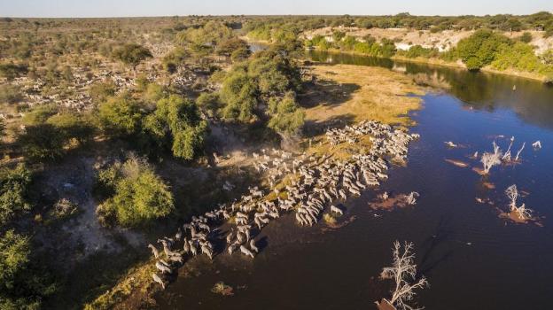 Meno A Kwena,Morematao>>Makgadikgadi Pans National Park,3 star