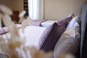 6 milje hotel