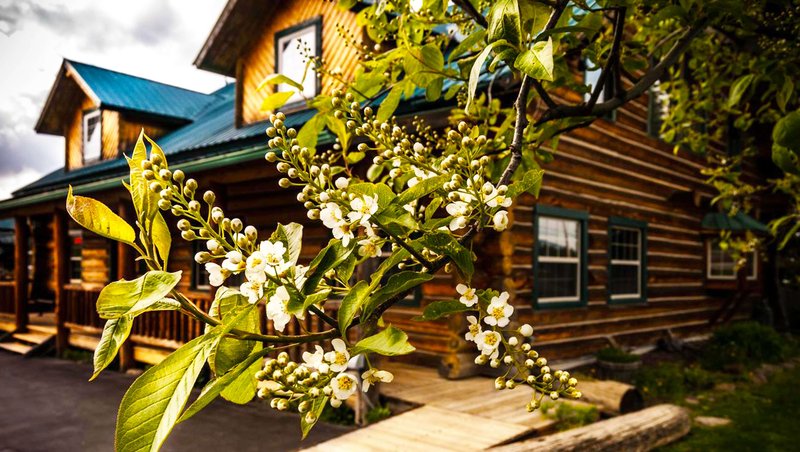 Dodge Peak Lodge,Coeur D'alene>>Bonners Ferry,2 star
