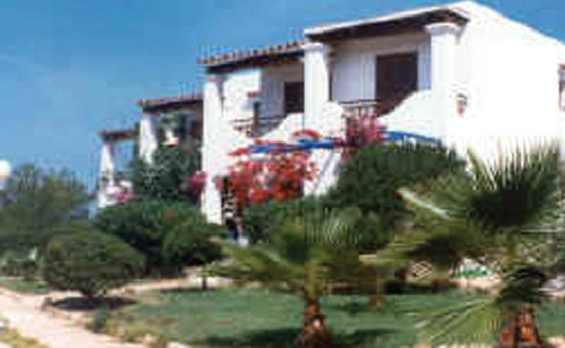 petunia ibiza adults only