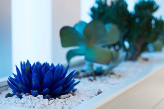 Best Western Plus Grand Hotel Victor Hugo,Limpertsberg>>Findel,4 star