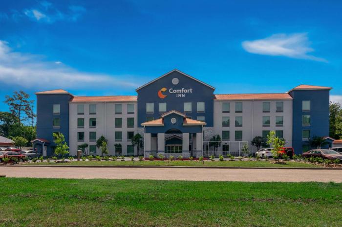 comfort inn conroe
