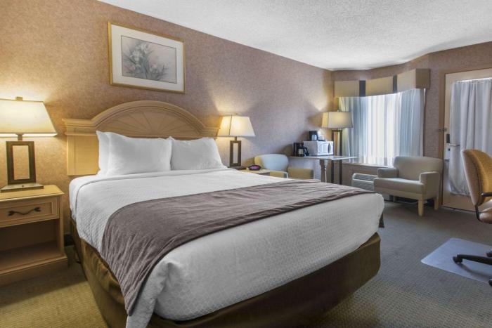 flamingo hotel