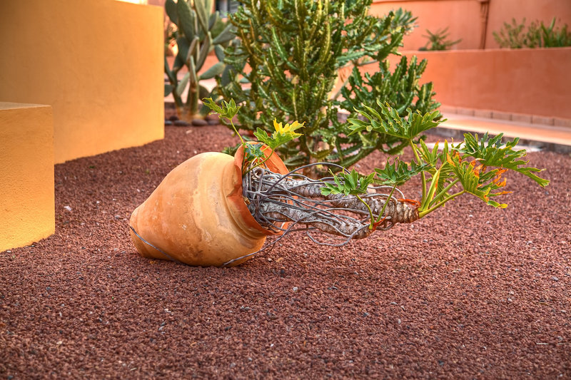 Complejo Las Tres Palmeras,La Calera>>Alajero,3 star