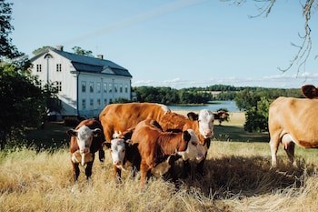 Wallby Sateri,Vetlanda>>Skiro,3 star
