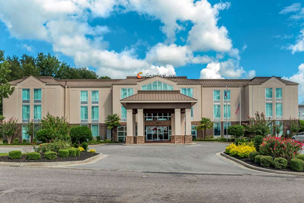 comfort inn