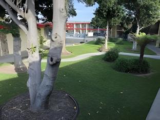 econo lodge inn and suites oakland airport