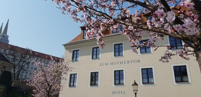 Hotel Zum Hothertor,Near St. Peter's Church,2 star