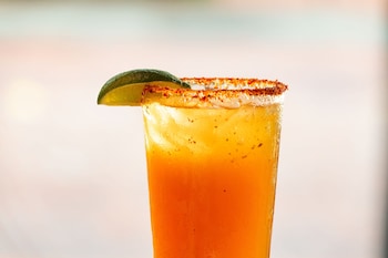 the worthington renaissance fort worth hotel