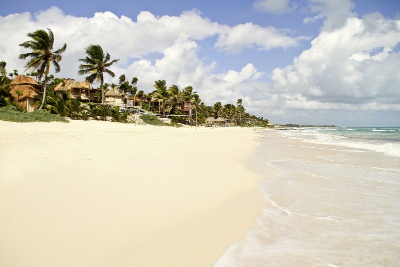 papaya playa project