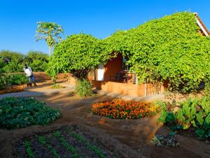 Damara Mopane Lodge,Near Khorixas Field,3 star