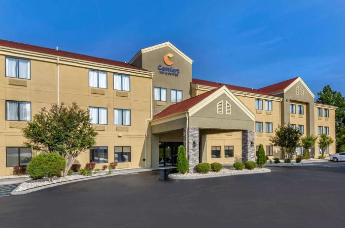 comfort inn and suites troutville roanoke north daleville