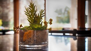 best western crossroads inn