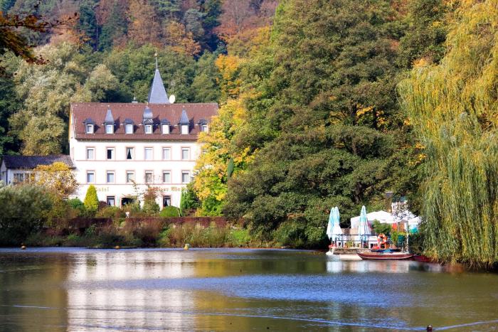 hotel pfalzer wald