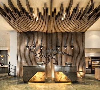 tru by hilton saltillo