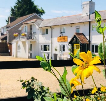 Cottage Lodge Hotel,Hampshire>>Brockenhurst,3.5 star