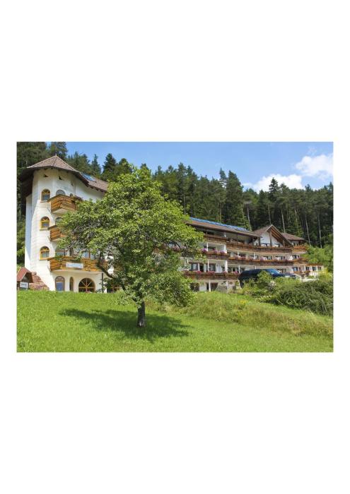 vital und wellness hotel basler hof