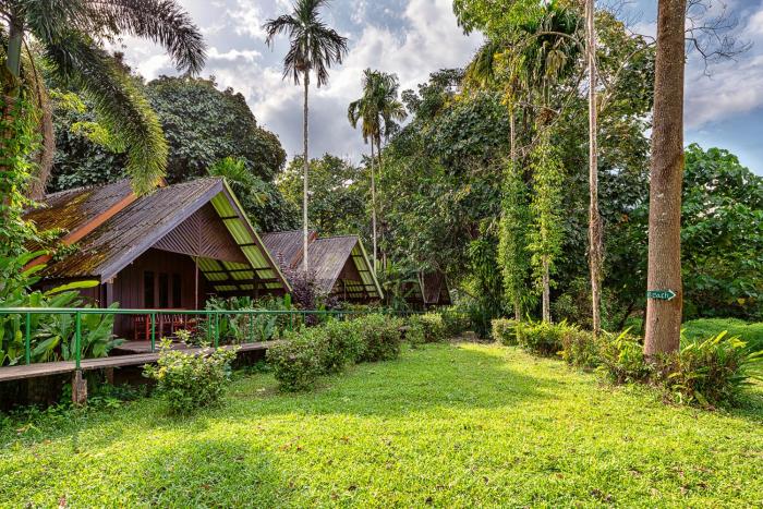 khao sok riverside cottage