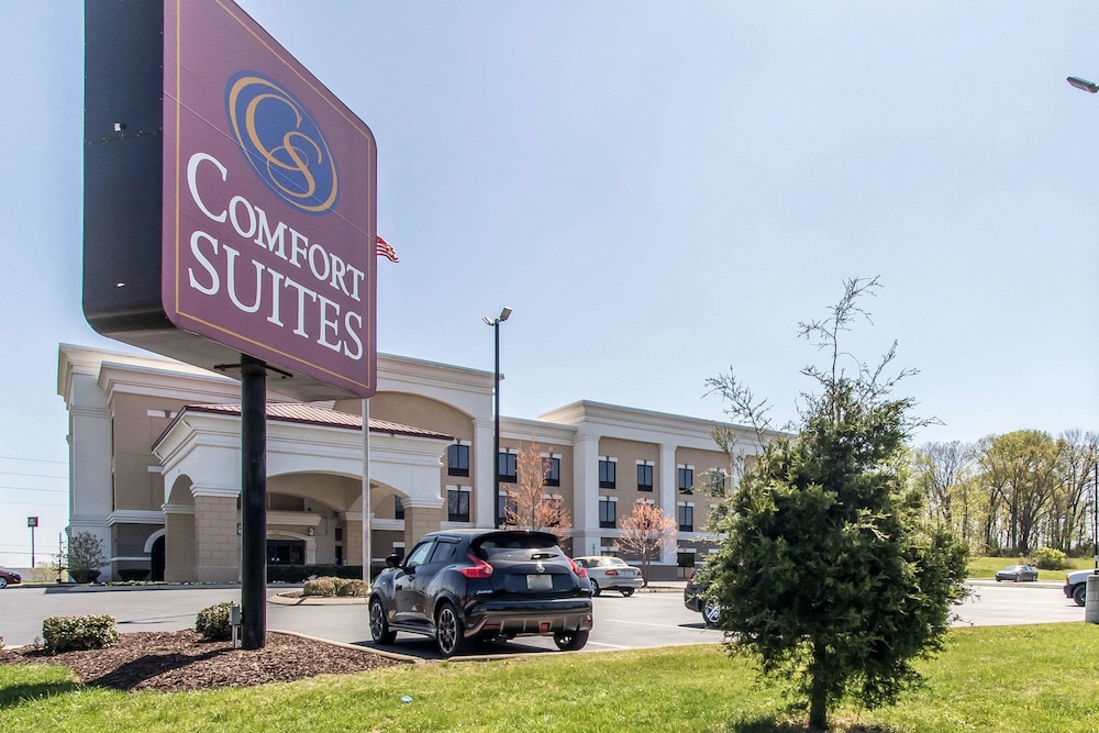 comfort suites smyrna
