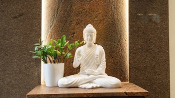 Hotel Rize Inn,,3 star