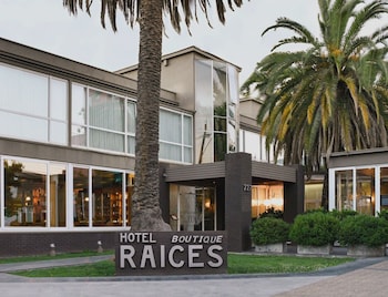 Hotel Raices