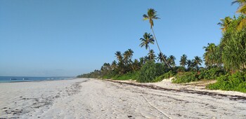 Zanzibar Retreat,Zanzibar>>Matemwe,3 star