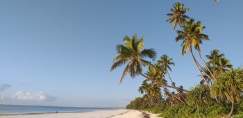 Zanzibar Retreat,Zanzibar>>Matemwe,3 star