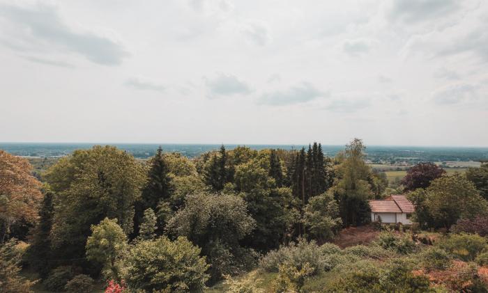 Bismarckhohe,Rheine>>Bielefeld,3 star