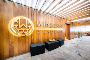 Hotel Akademie,Chocerady>>Benesov,4 star