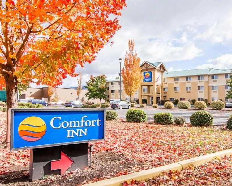 comfort inn south