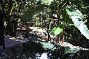 Boquete Firefly Inn,,2 star