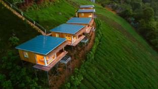 Chillchillcamp Phuchifa,,5 star